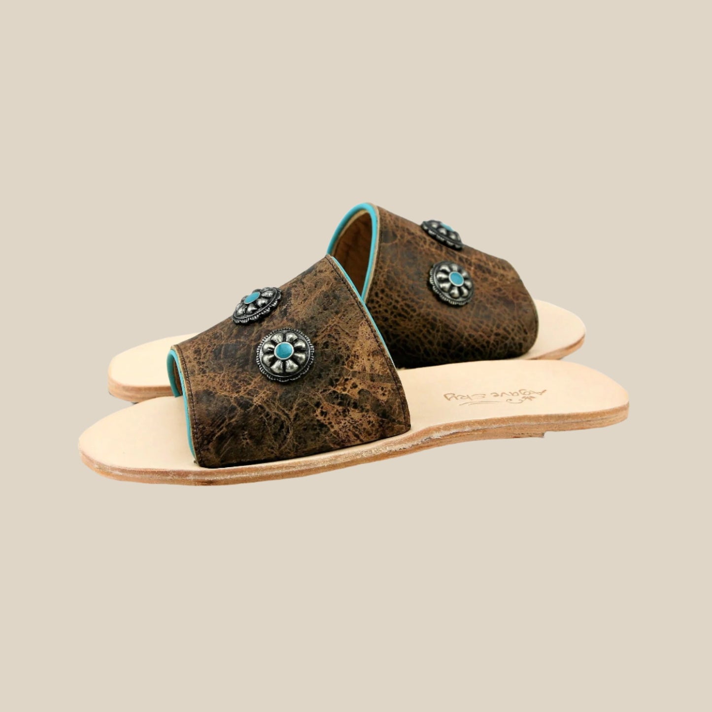 Nadia Concho Slides